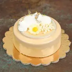 Mocha Mousse Cake