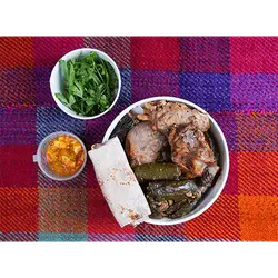 سڵقە حەیاتەکەی ڤینۆس بە گۆشت