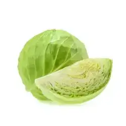 White Cabbage
