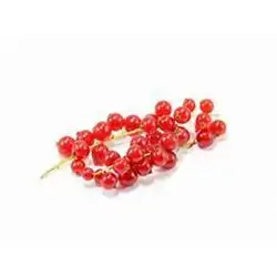 Berry Red Current Pcs