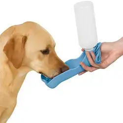 Water Bottle 500ml