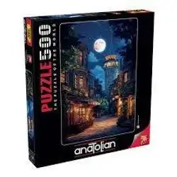PUZZLE 500