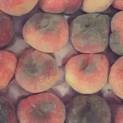 Fig Peach