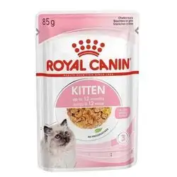 Royal Canin Kitten in Jelly