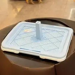  Potty Tray Toilet for Male Dog L