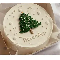 Christmas Cake