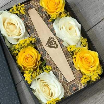 Box 24