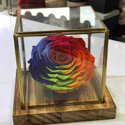 Table Gift 12