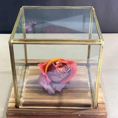 Table Gift 19