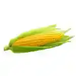 Corn 1 Piece