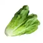 Lettuce