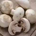 Mushroom 1 pcs