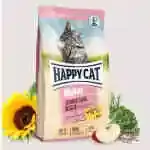 Junior Dry Cat Food 1.5 Kg
